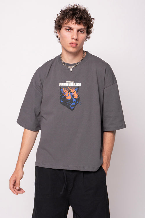 Cropped Burning Rebellion Gray T-shirt