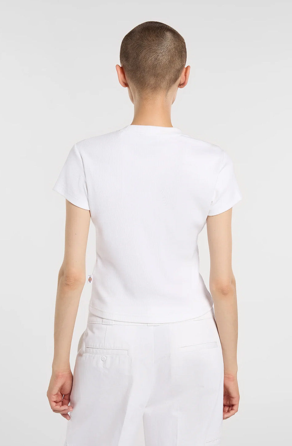 Dickies Wellsville T-Shirt White