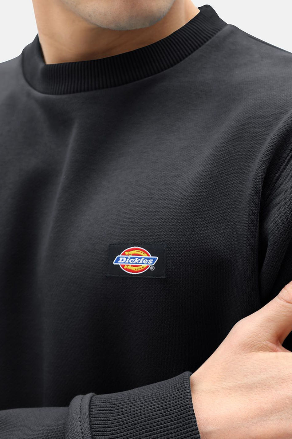 Sudadera Dickies New Jersey