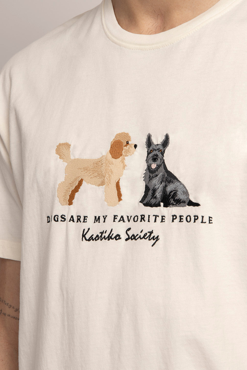 Camiseta Washed Puppies Elliott Ivory