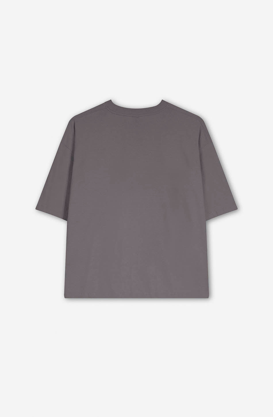 Cropped Burning Rebellion Gray T-shirt