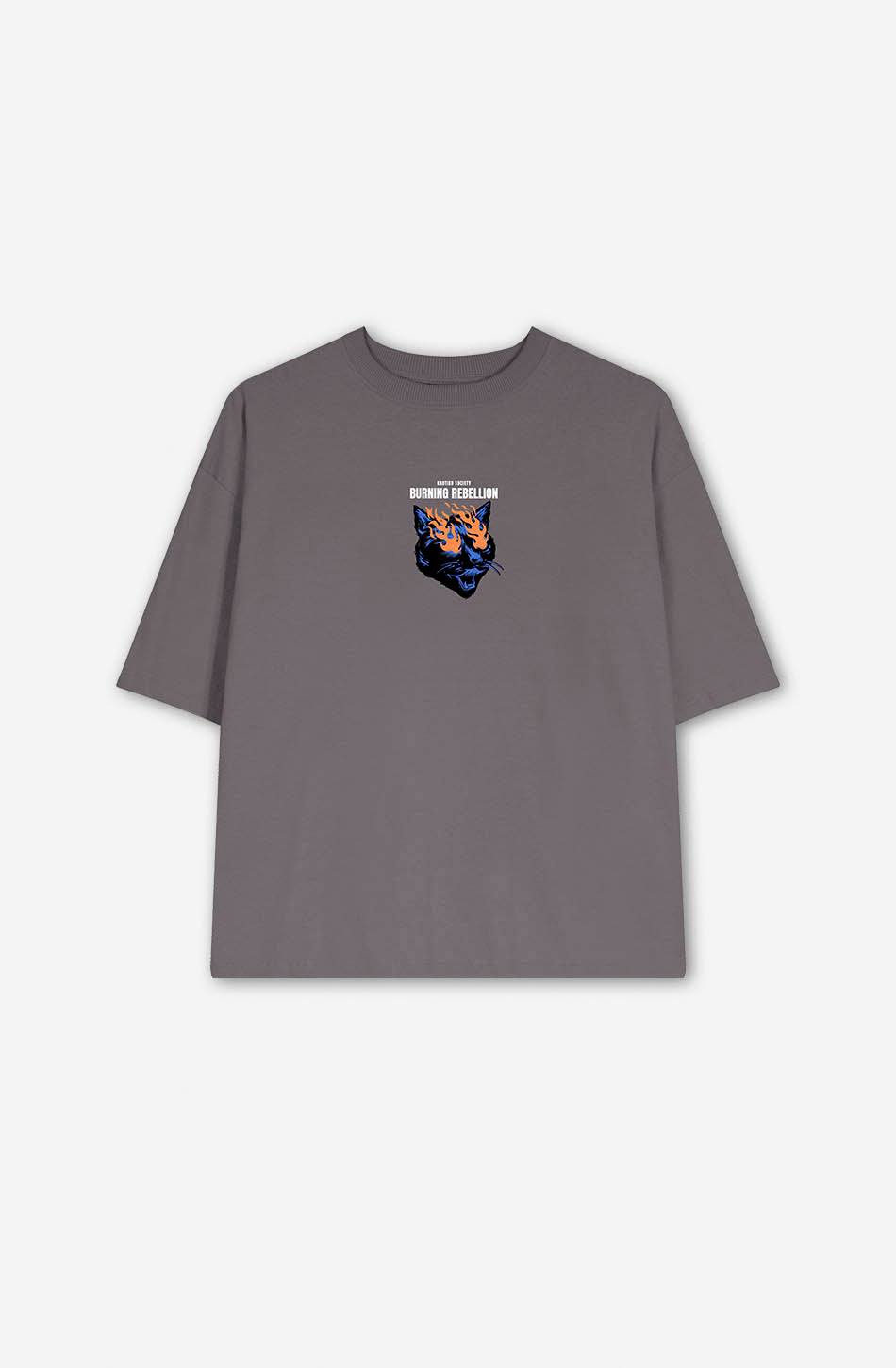 Cropped Burning Rebellion Gray T-shirt