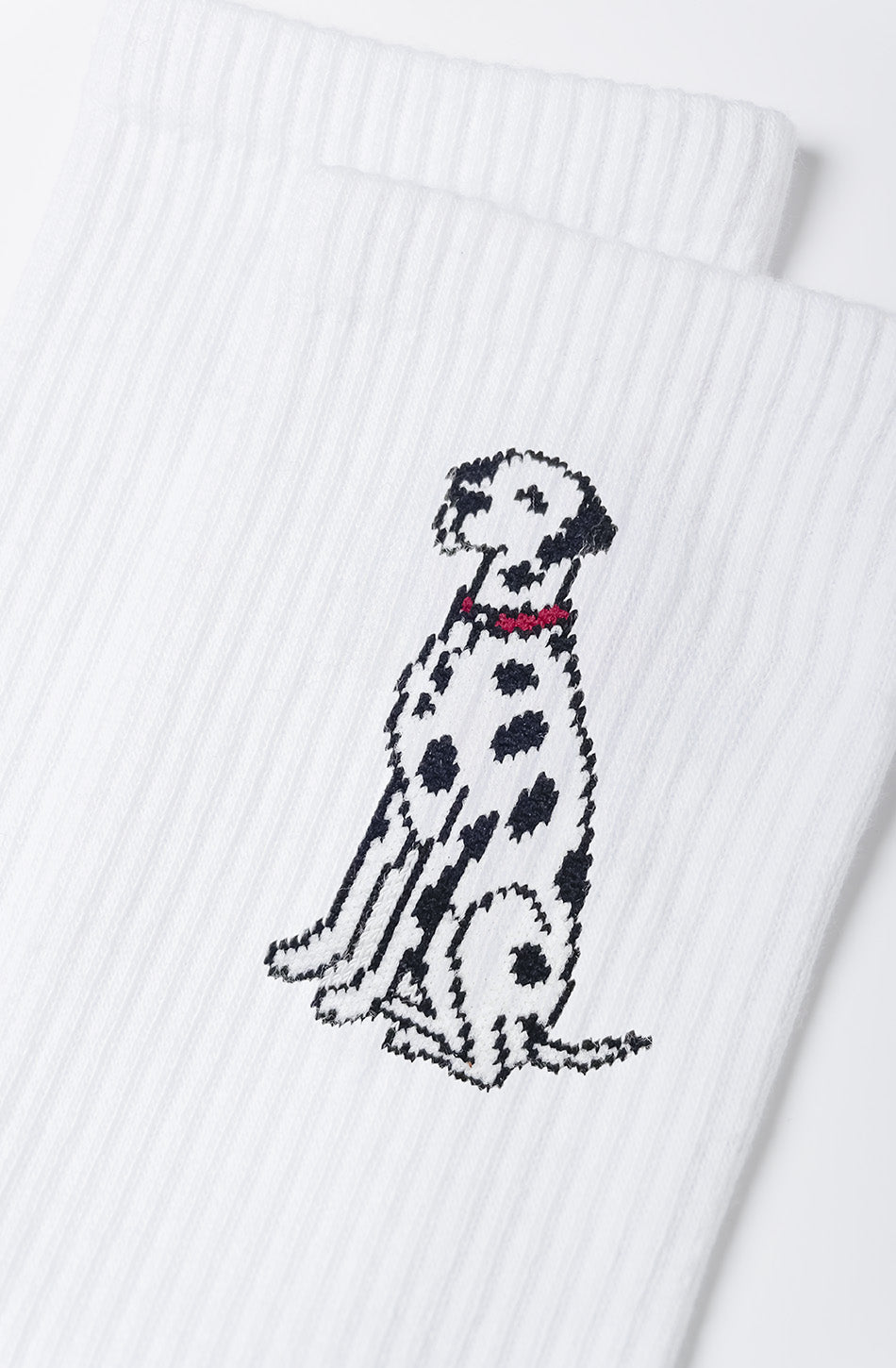 Dalmatian White Socks