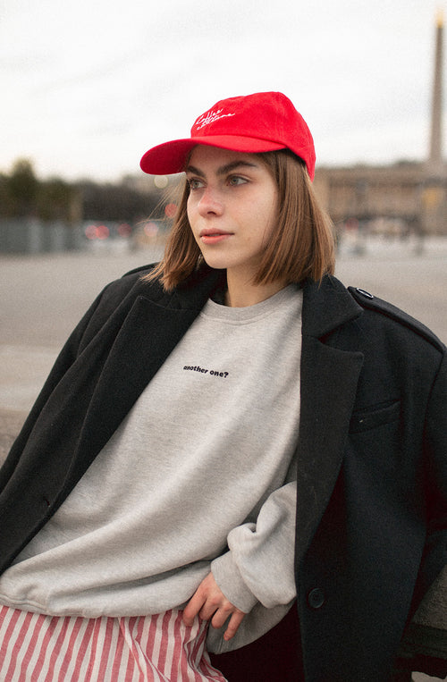 Sweat-shirt Another One Grey 