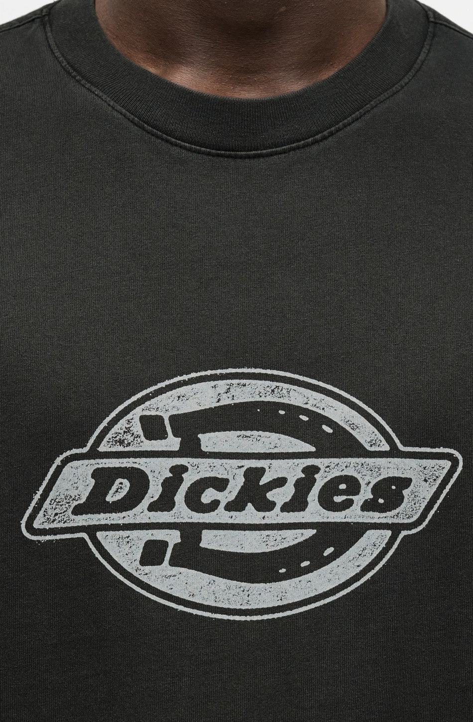 Camiseta Dickies Plainville Black