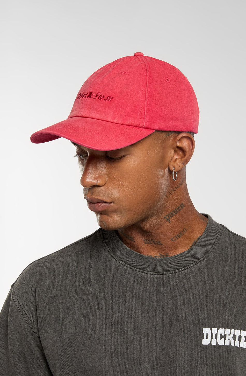 DICKIES Middlefield Dad Garnet Cap