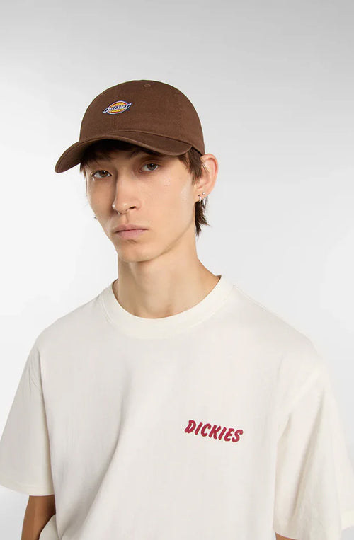 Dickies Hardwick Brown Cap