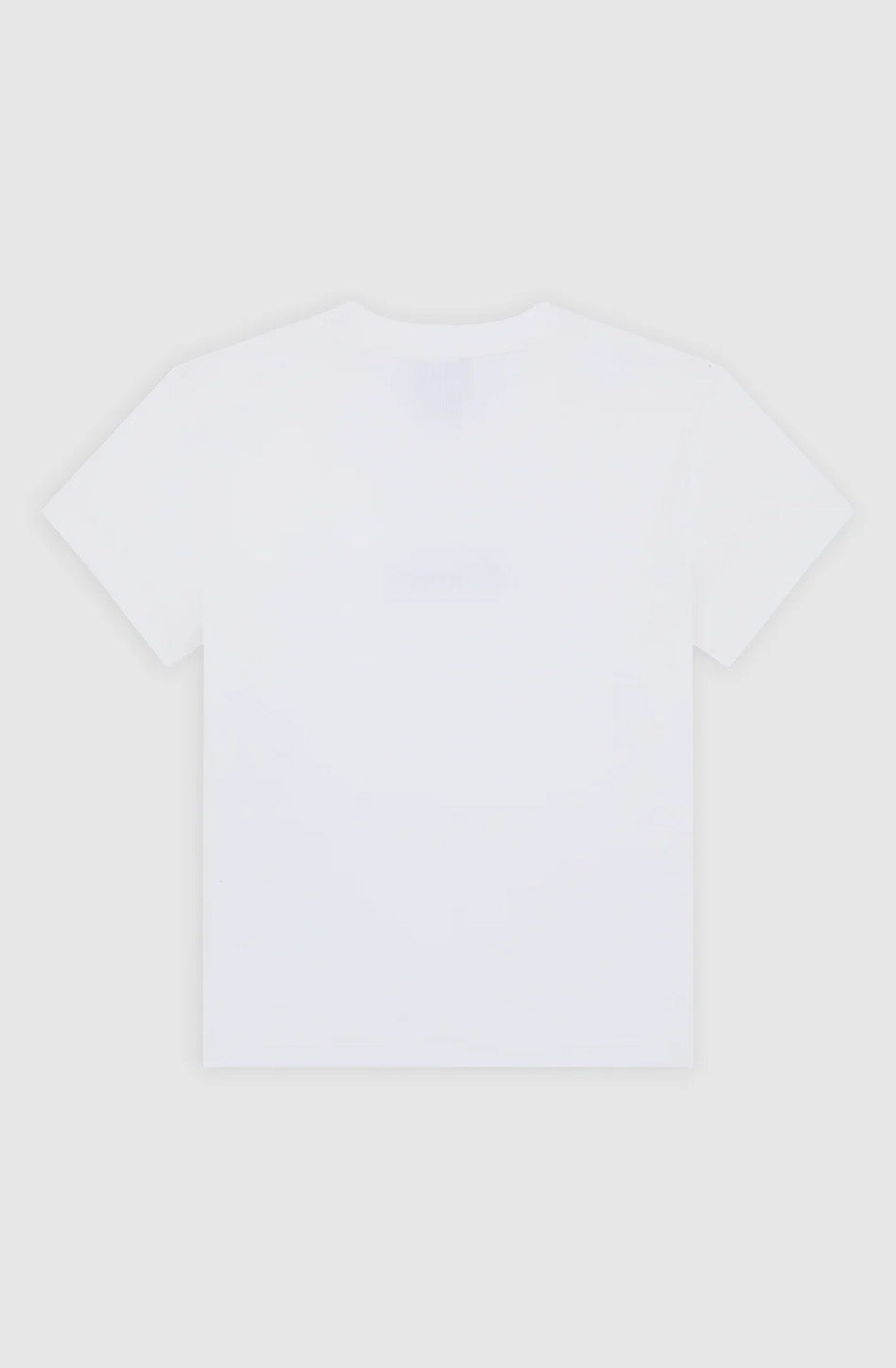 Dickies Wellsville T-Shirt White