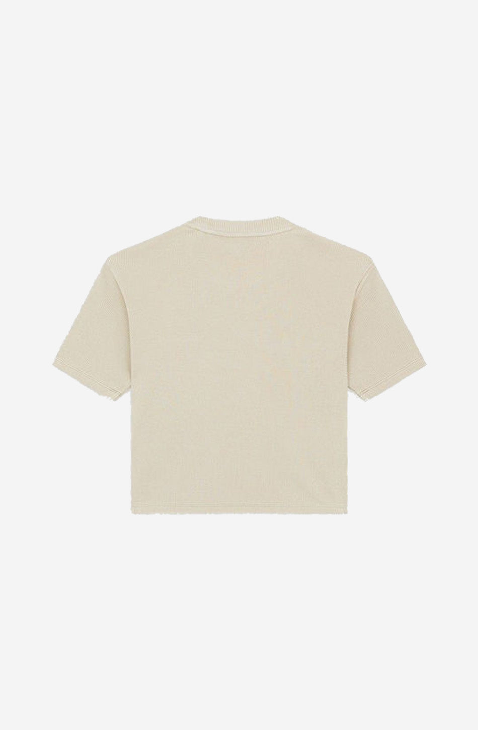 Dickies Plentywood T-shirt Eucalyptus