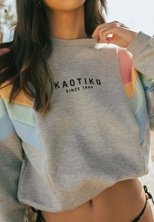 Sweat-shirt Ginger Gray/Salmon/Yellow/Green