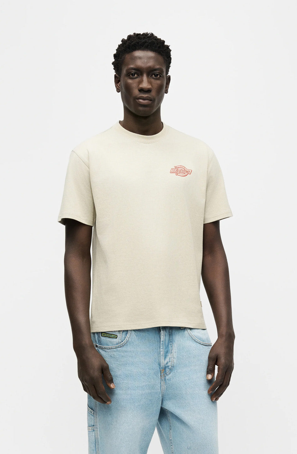 T-shirt Dickies Millville Eucalyptus