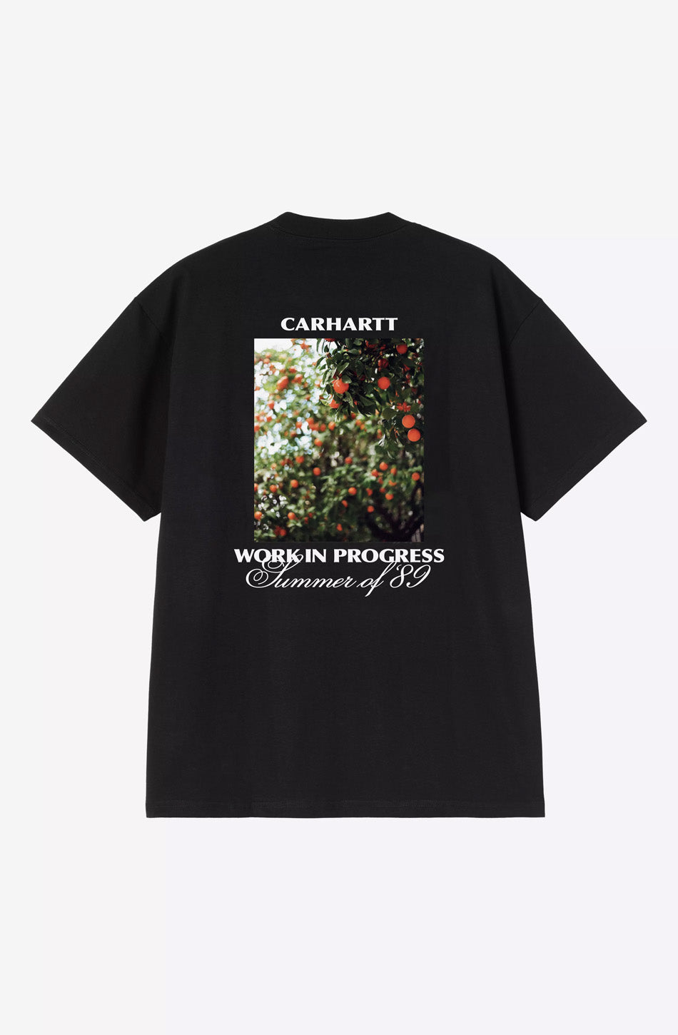 Carhartt WIP Warm Views Organic Black T-Shirt