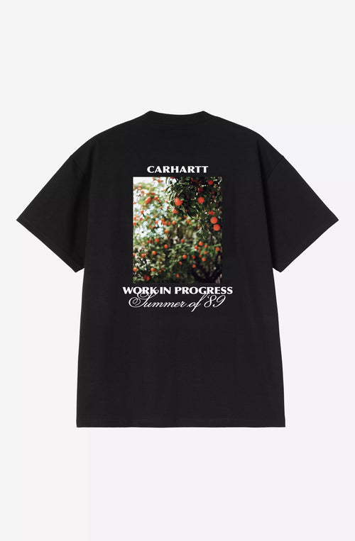 Carhartt WIP Warm Views Organic Black T-Shirt