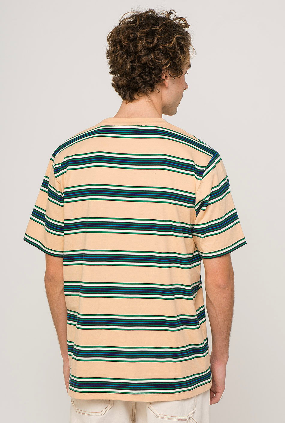 Dickies Lithia Springs T-Shirt mit Streifen