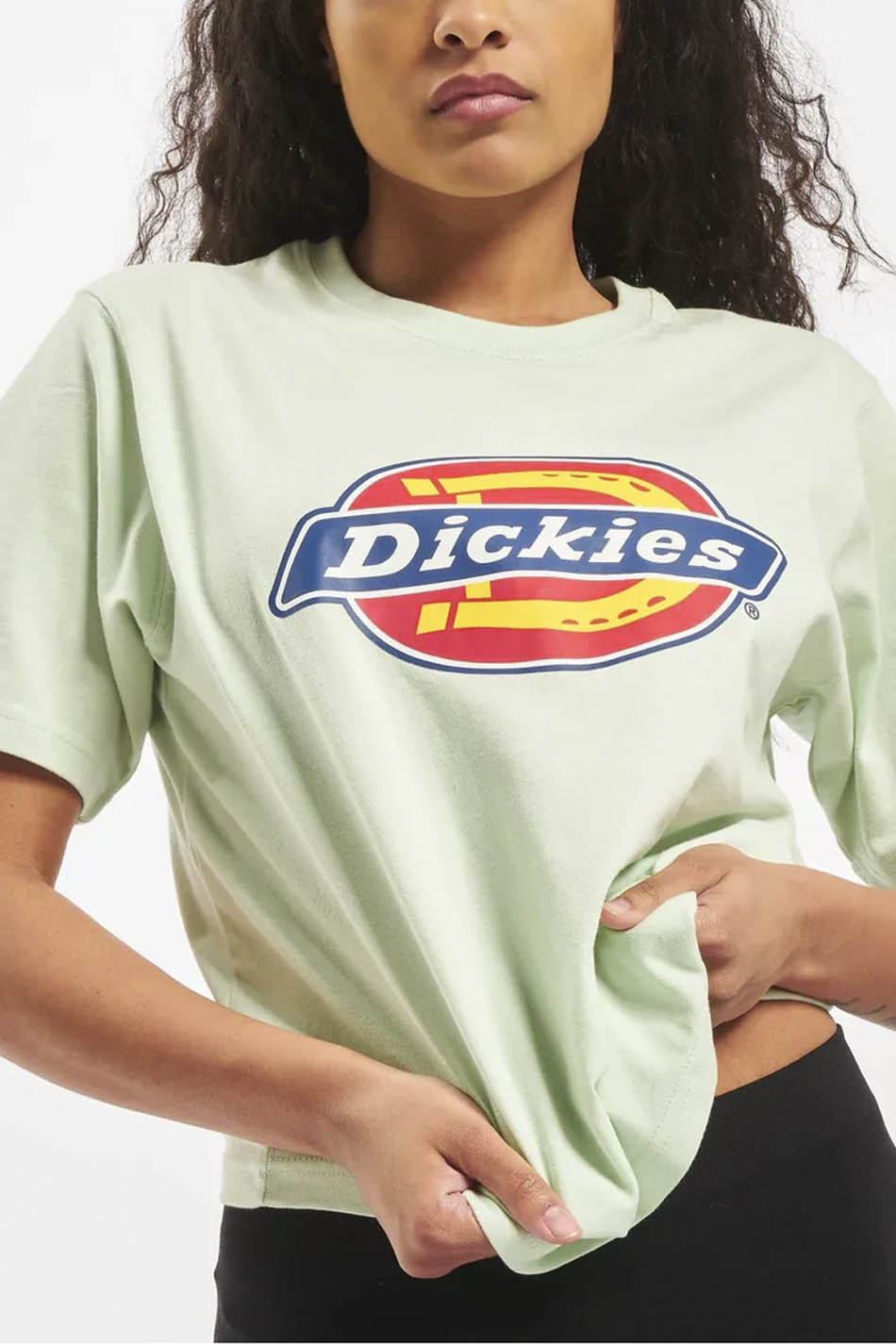 Camiseta Dickies Horseshoe Mint