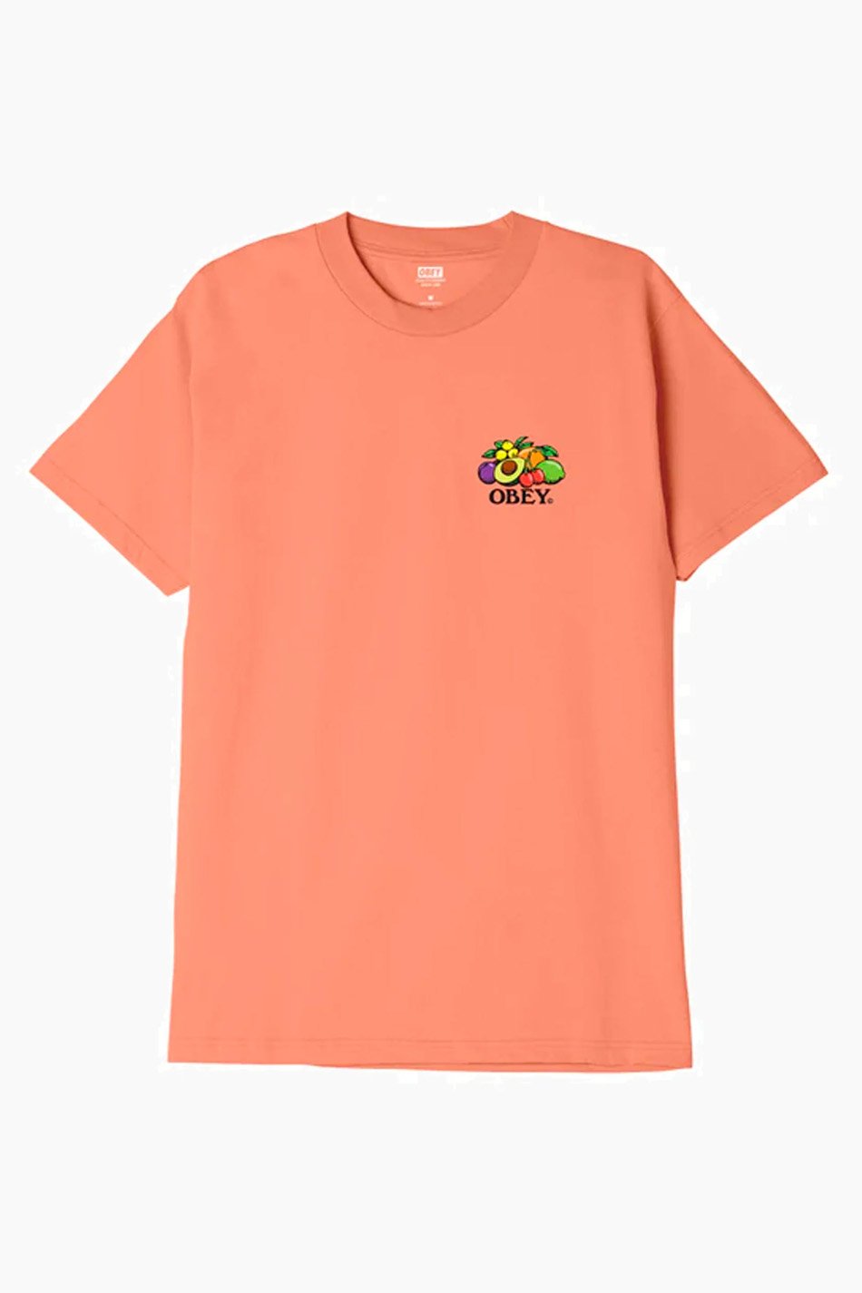 Obey Bowl of Fruits T-shirt