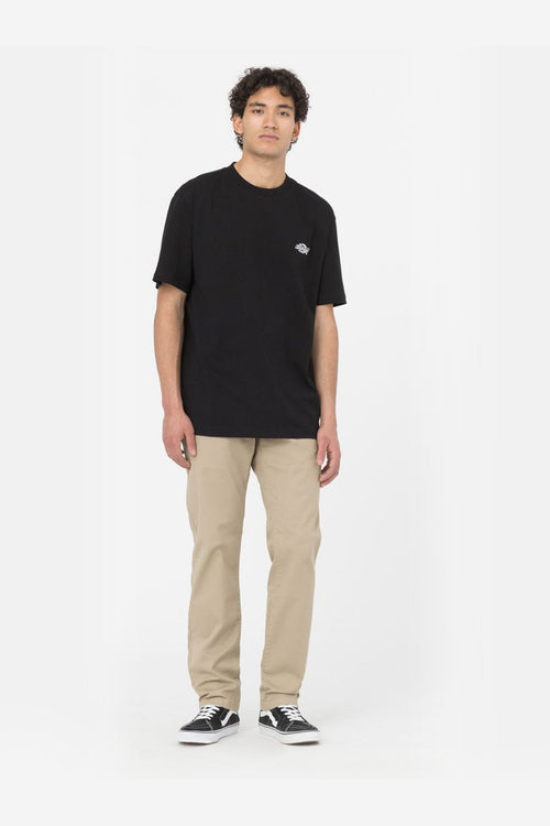 Dickies Summerdale T-Shirt in Schwarz